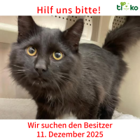 thumb_Fundtiere FB(75)